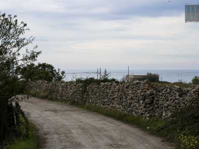 Sulla destra un muretto a secco costeggia la strada 